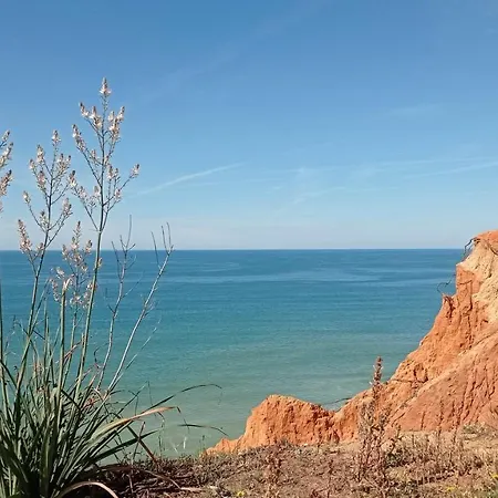 Appartamento Your House At Falésia *