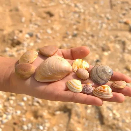 Your House At Falésia Albufeira